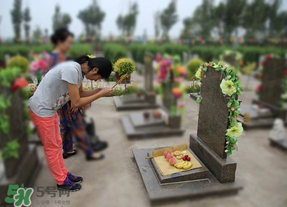 清明節女人能上墳嗎？為什么清明節女人不上墳？？