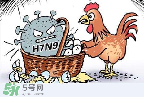 怎樣預防禽流感？如何預防禽流感