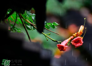 2017年梅雨季節是幾月？2017年梅雨季節是什么時候？