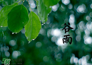 2017年谷雨是幾月幾號？2017年谷雨是哪一天？
