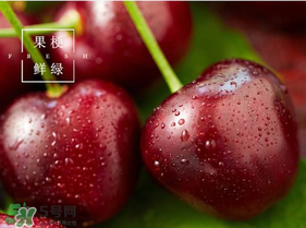 美早櫻桃多少錢一斤？美早櫻桃多少錢一斤2017？