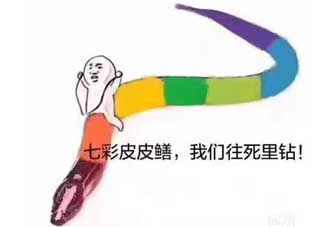 七彩皮皮鱔我們往死里鉆是什么意思？七彩皮皮鱔我們去個好地方是什么意思？