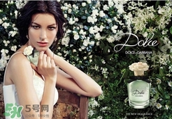 dolce gabanna香水哪款好聞？DG杜嘉班納香水推薦