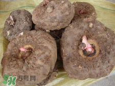 魔芋什么味道？怎么去除魔芋味道？