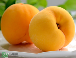 黃桃為什么那么貴？黃桃為什么這么貴？