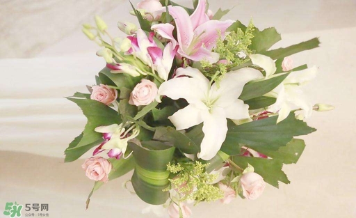 孕婦不能碰那些花 孕期避開(kāi)的花有哪些