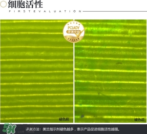 cpb保濕露多少錢？cpb保濕露專柜價格