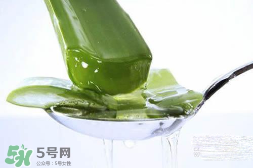 黃瓜水和蘆薈水哪個(gè)好？黃瓜水和蘆薈水功效區(qū)別