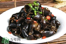 黑木耳是菌類的嗎？黑木耳屬于菌類嗎？
