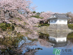 5月份去日本穿什么？五月份去日本穿什么衣服？