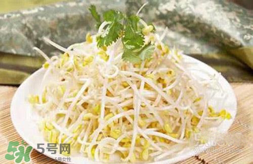 黃豆芽熱量高嗎？吃黃豆芽會長胖嗎？