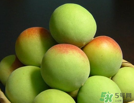 青梅什么時(shí)候成熟？青梅幾月份成熟？
