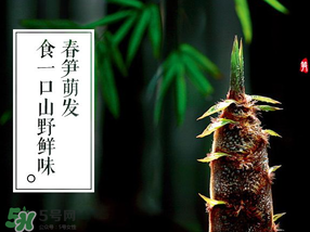 春筍多少錢一斤？春筍多少錢一斤2017？