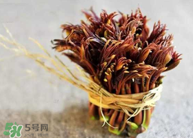 香椿幾月份可以吃？香椿什么時候吃？