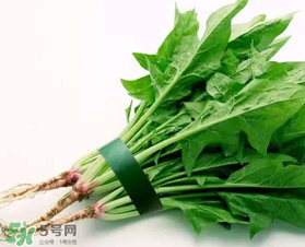 孕婦可以吃菠菜嗎？孕婦菠菜吃多了會怎樣？
