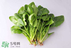 孕婦可以吃菠菜嗎？孕婦菠菜吃多了會怎樣？