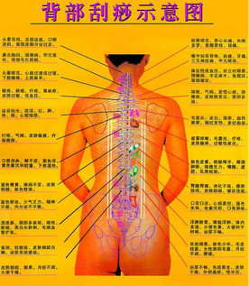 背部怎么刮痧視頻？背部刮痧手法視頻