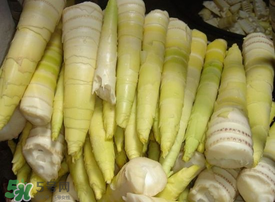 竹筍有毒嗎？吃竹筍會(huì)中毒嗎？