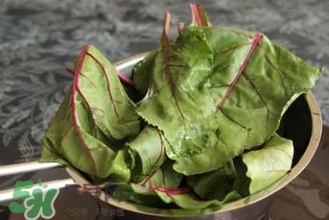甜菜葉是否可以生吃？甜菜葉可以生吃嗎