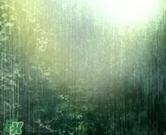 四月份會一直下雨嗎？2017年四月份為什么一直下雨？
