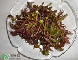 涼拌香椿要過水嗎？香椿涼拌前需要用開水焯一下嗎？