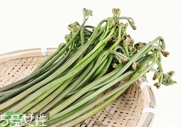 拳頭菜的營養價值_拳頭菜的功效與作用及食用方法