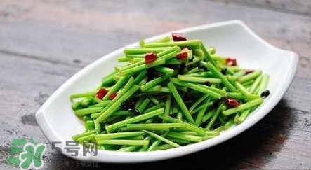 水芹菜孕婦能吃嗎？懷孕的人可以吃水芹菜嗎