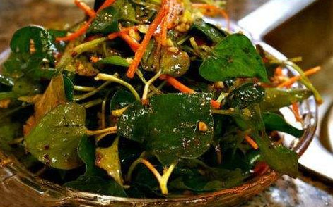 魚腥草根和葉哪個好？魚腥草根好還是葉子好
