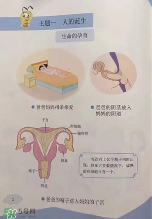 孩子瀏覽成人網站怎么辦？小學性教育有沒有必要？