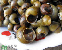 田螺可以凈化水質嗎？田螺能凈化水質嗎？