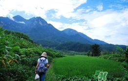 四月份去哪里旅游比較好？四月份最適合旅游的地方