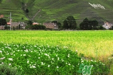 四月份去哪里旅游比較好？四月份最適合旅游的地方