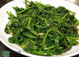 枸杞頭怎么吃？枸杞頭如何吃