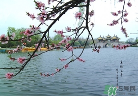 四月份去哪里旅游比較好？四月份最適合旅游的地方