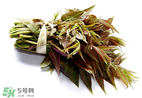 香椿可以助孕嗎？香椿有助孕的功效嗎？