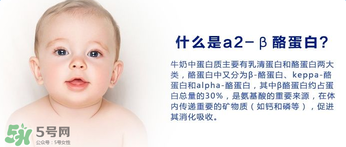 A2奶粉分幾種？A2奶粉有幾個(gè)種類？