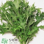 艾蒿能吃嗎？艾蒿能做菜吃嗎