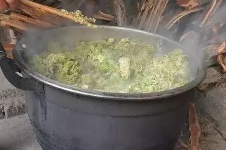 榆錢怎么蒸？蒸榆錢的做法