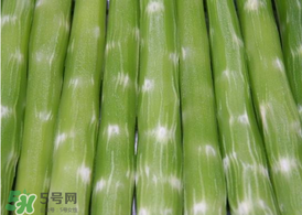 萵筍白色液體能吃嗎？萵筍為什么白色的？