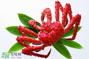 香椿能和海鮮一起吃嗎？香椿和海鮮能一起吃嗎？