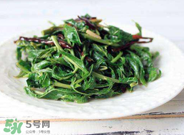 香椿和芹菜能一起吃嗎？香椿可以和芹菜同吃嗎？