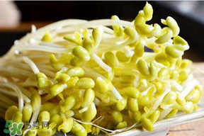 香椿和豆芽能一起吃嗎？香椿豆芽的做法大全