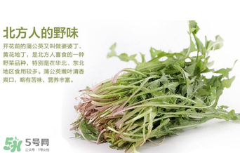 婆婆丁不能與什么同食？婆婆丁不能和什么一起吃？