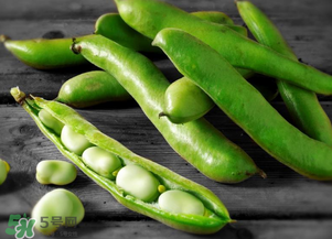 蠶豆什么時(shí)候成熟？蠶豆什么時(shí)候上市？
