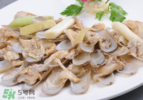 花甲怎么保存不會死？花甲怎么保存到次日？