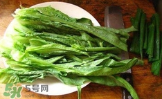 萵苣葉是什么？生菜是不是萵苣葉子