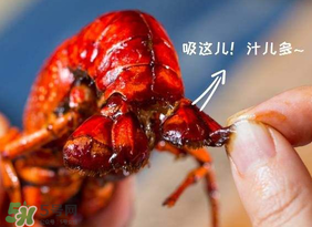 吃油燜大蝦會(huì)胖嗎？油燜大蝦的熱量是多少？