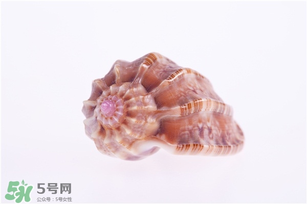 海螺的尾部能吃嗎？海螺的尾巴可以吃嗎