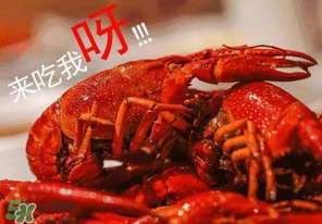 煮熟的小龍蝦隔夜能吃嗎？煮熟的小龍蝦能放多久？