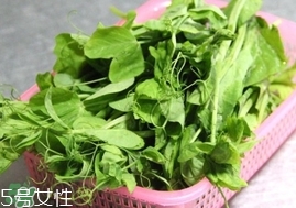 豌豆苗怎么做好吃？豌豆苗的做法
